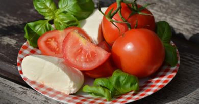 Alimentos saludables tomate espinaca queso
