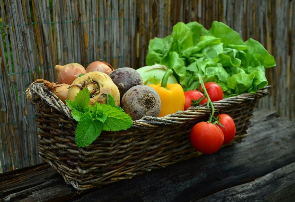 Alimentos saludables que fortalecen tus defensas como menta tomates lechuga remolacha betabel cebolla pimenton en una canasta