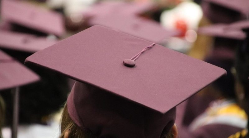 universidad-google:-por-300-dolares-y-en-seis-meses-obtendras-un-certificado-que-ellos-equiparan-al-de-una-carrera-universitaria