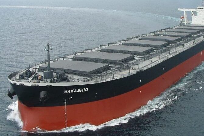 el-buque-de-100.000-toneladas-que-naufrago-por-buscar-cobertura-para-el-telefono-movil