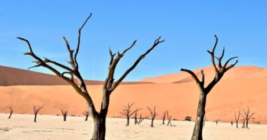 el-sueno-de-extraer-agua-en-el-desierto-con-la-unica-ayuda-del-sol-empieza-a-convertirse-en-tecnologia-util-y-accesible