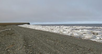 por-primera-vez-el-mar-de-laptev-en-el-artico-no-se-ha-congelado-en-octubre:-el-deshielo-mas-grande-del-que-se-tiene-registro