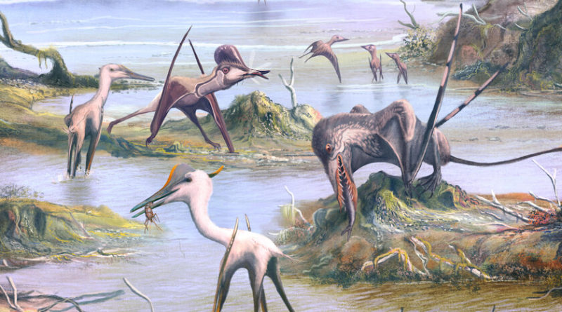 el-vuelo-de-los-pterosaurios:-como-la-evolucion-cogio-unos-voladores-torpes-e-ineficaces-y-los-convirtio-en-maquinas-aeronauticas-casi-perfectas