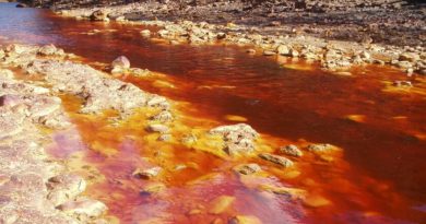 de-huelva-a-marte:-el-rio-tinto-y-sus-cianobacterias-sirven-a-la-nasa-para-preparar-la-exploracion-del-planeta-rojo
