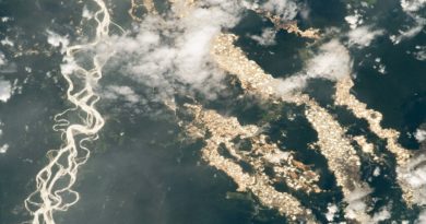 nasa-muestra-los-“rios-de-oro”-en-el-amazonas-vistos-desde-el-espacio:-una-impactante-imagen-de-la-mineria-ilegal