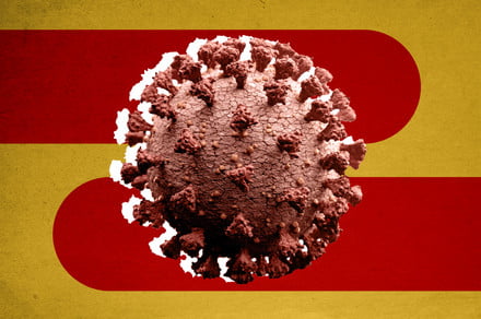 por-que-el-sars-cov-2-avanzo-mas-rapido-que-otros-coronavirus