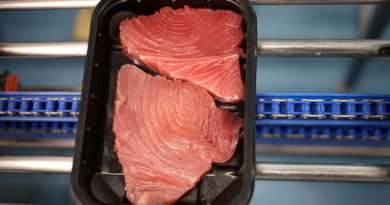 comer-pescado-azul-reduce-riesgo-de-infarto,-senala-estudio